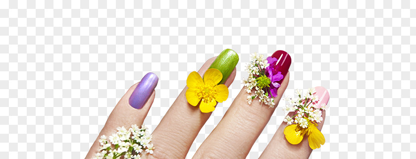 Nails PNG clipart PNG
