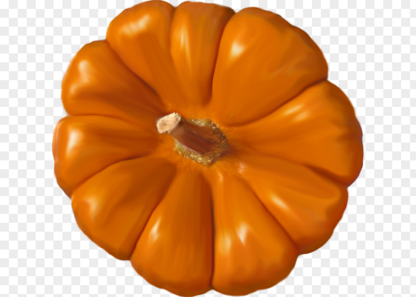 Pumpkin Calabaza PNG