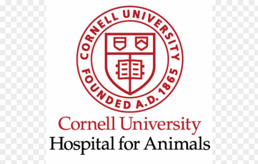 Student Cornell University College Of Veterinary Medicine Brown Hospital-Animal PNG