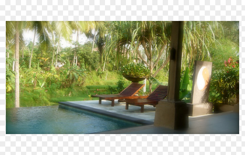 Water Swimming Pool Pond Sunlounger Backyard Resort PNG