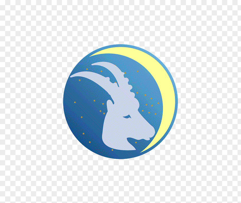 Capricorn Capricornus Astrology Zodiac Astrological Sign PNG