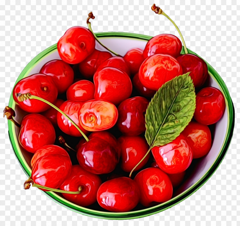 Cranberry Lingonberry Natural Foods Fruit Cherry Plant Food PNG