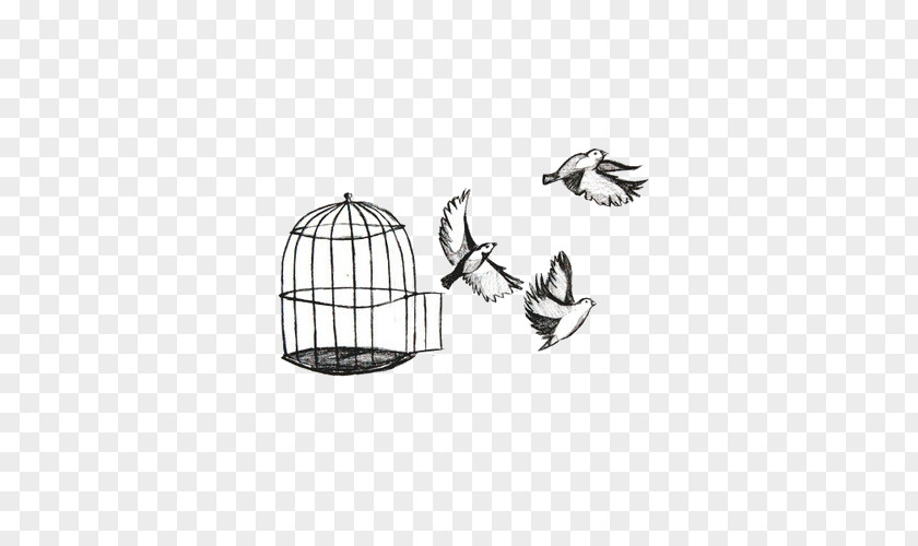 Discount Bird Cages Birdcage Drawing Flight PNG