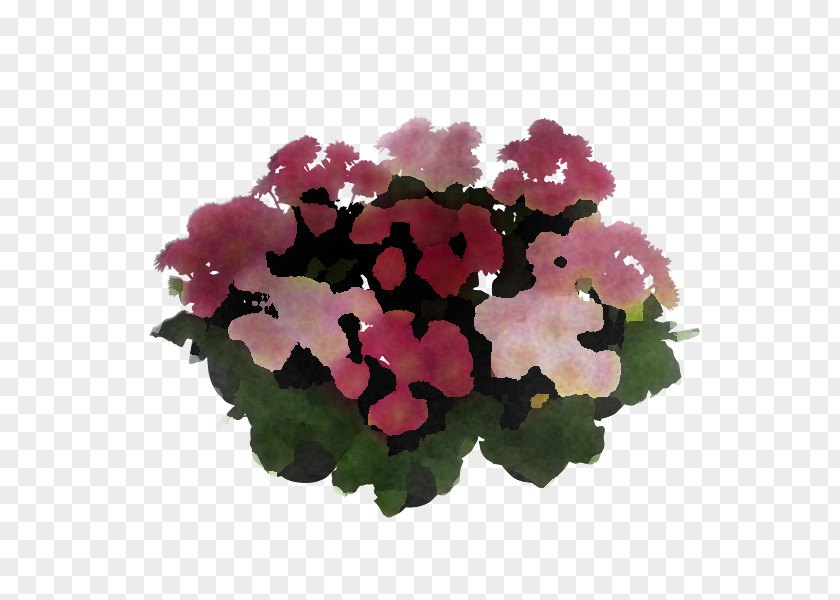 Flower Pink Plant Petunia Petal PNG