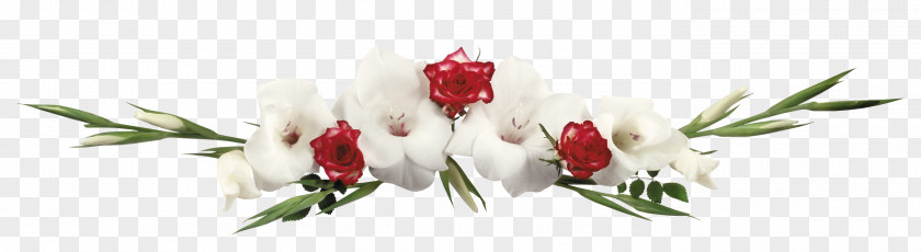 Gladiolus Flower TAK Marriage PNG