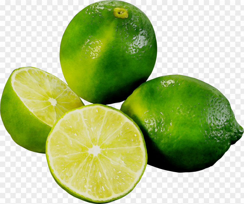 Persian Lime Sweet Lemon Key PNG