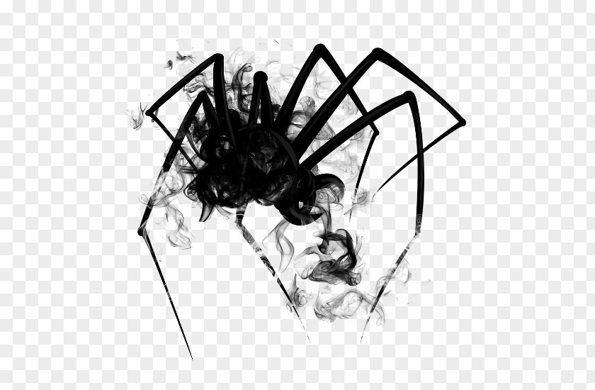 Spider Widow Spiders Sticker PicsArt Photo Studio Drawing PNG
