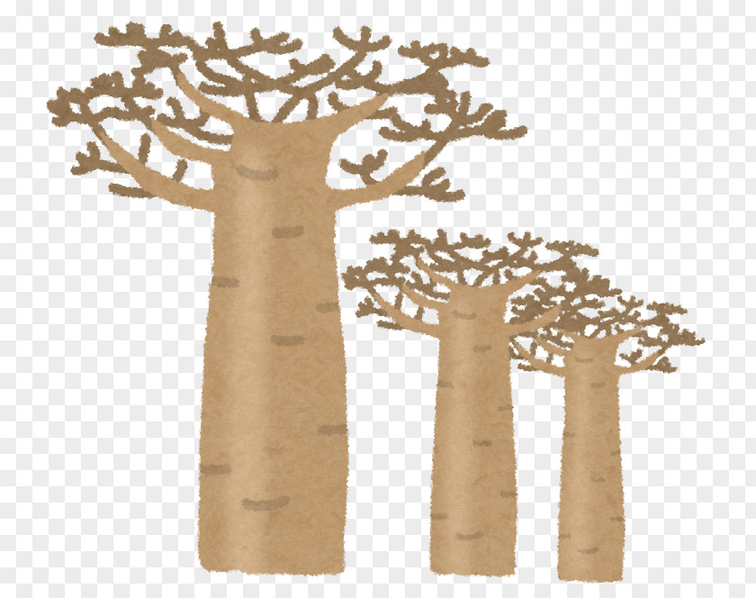 Baobab Tree いらすとや Reindeer 佐賀県ユニセフ協会 PNG