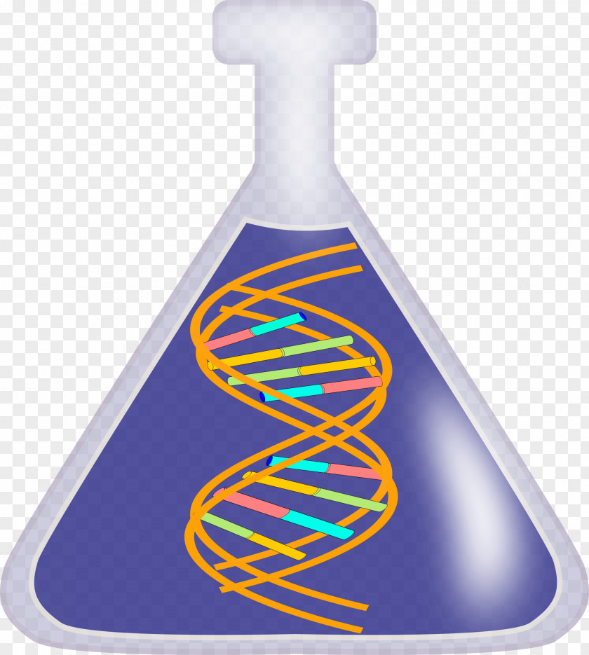 Biology DNA Nucleic Acid Double Helix Clip Art PNG