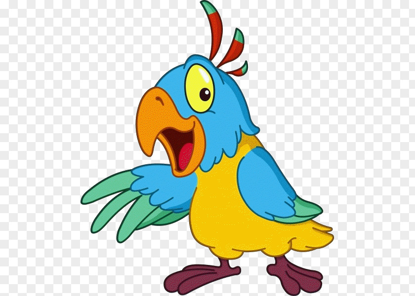 Bird Parrot Clip Art PNG