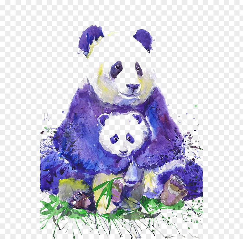 Cartoon Panda Giant T-shirt Watercolor Painting Artist Trading Cards PNG