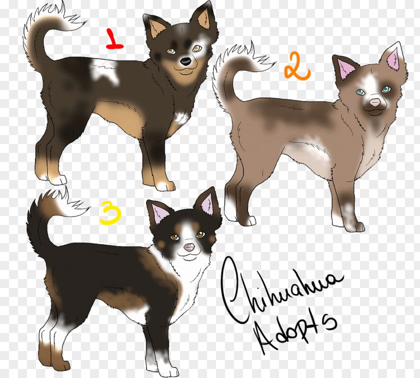 Chihuahua Border Collie Norwegian Lundehund Cat Puppy PNG