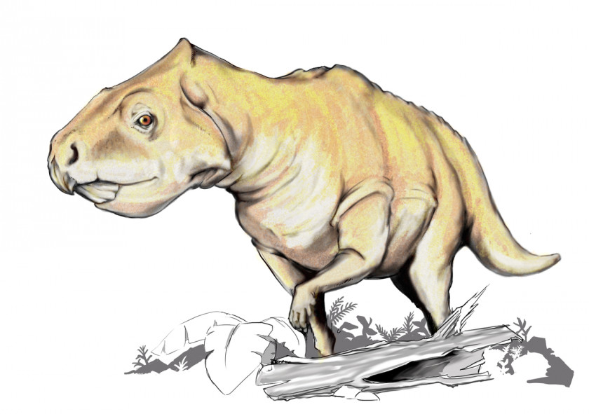 Dinosaur Plesiosauria Prenoceratops Text Book Author PNG