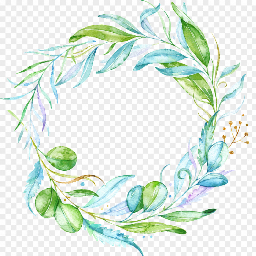 Hand Painted Olive Leaves Leaf Plant Euclidean Vector PNG
