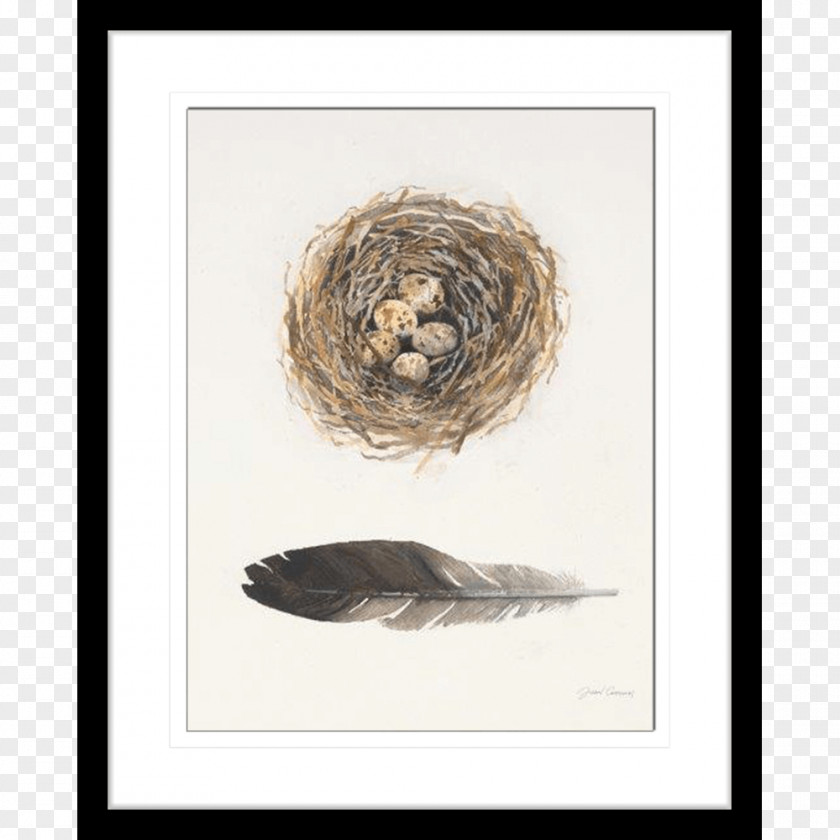 Nest Watercolor Painting Oil Art PNG