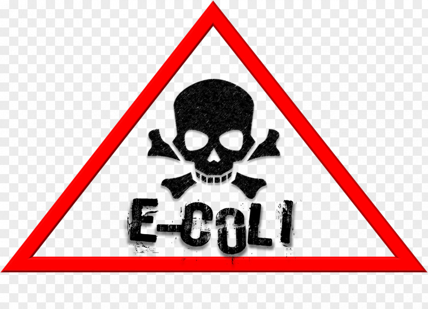 Poison E. Coli Food Poisoning Coliform Bacteria Disease PNG