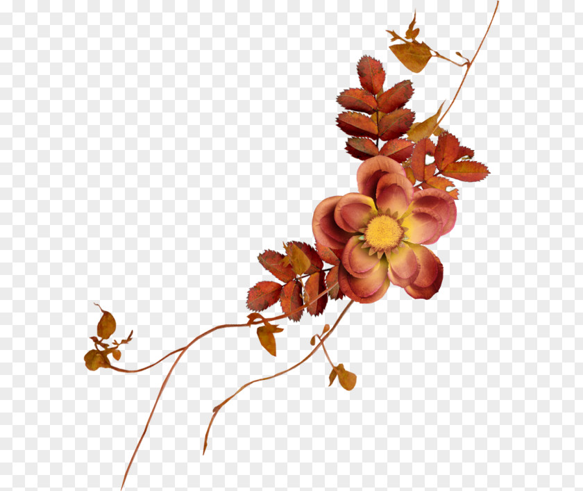Twig Leaf Plant Stem Floral Design Petal PNG