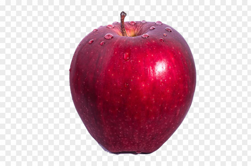 A Red Apple Vampire Addiction: Paranormal Romance Fruit Food Leopard PNG