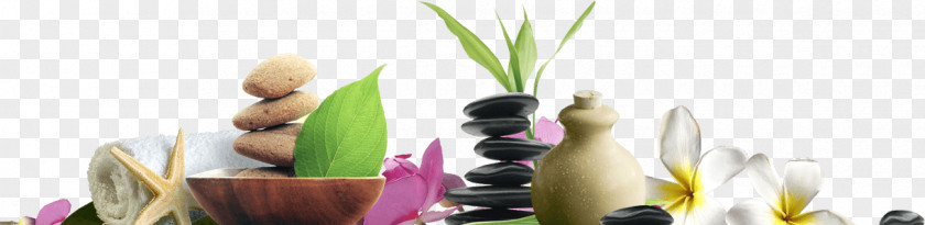 Day Spa Massage Beauty Parlour Nu & Nail PNG