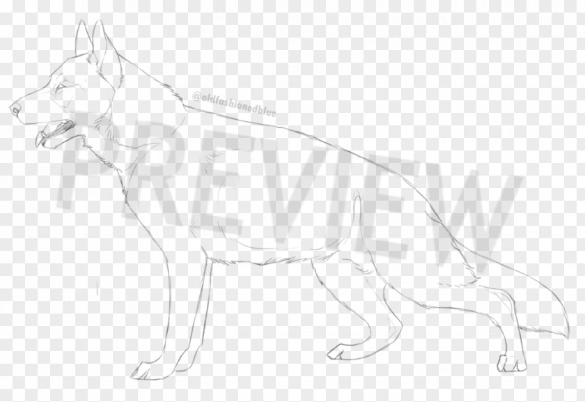 Dog Breed Line Art Sketch PNG