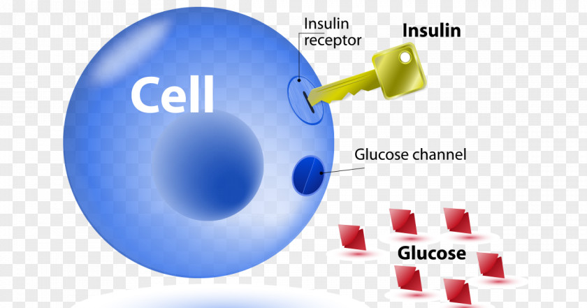 Door To Success Insulin Resistance Diabetes Mellitus Type 2 1 PNG