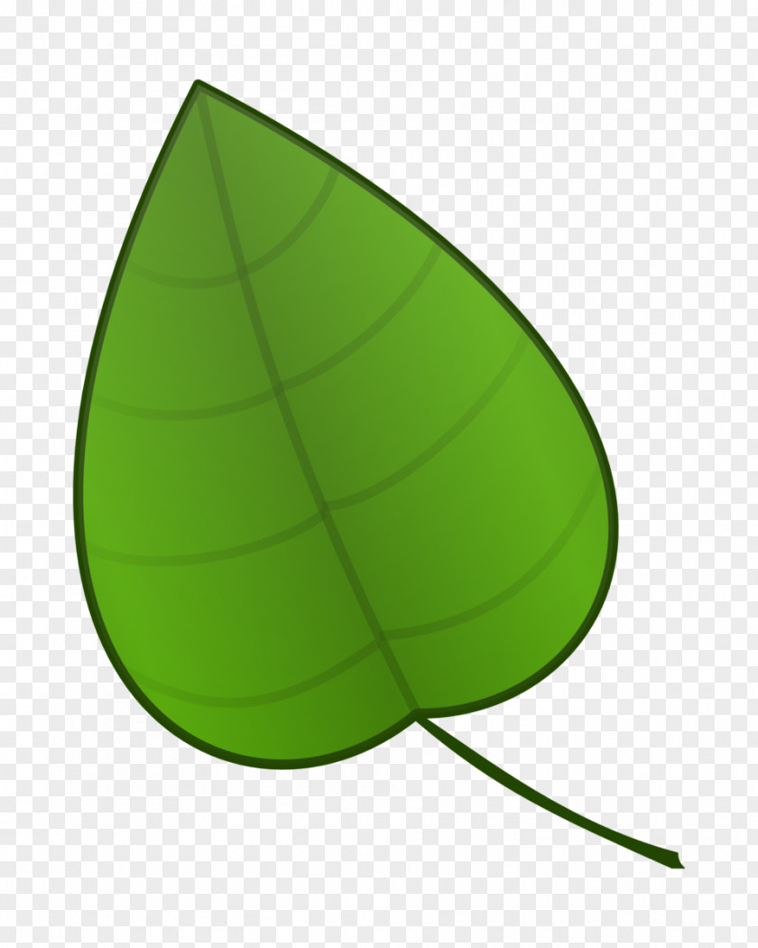 Green Leaf Cartoon Animation Clip Art PNG