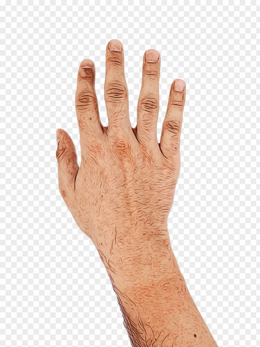 Hand Model Safety Glove Joint PNG