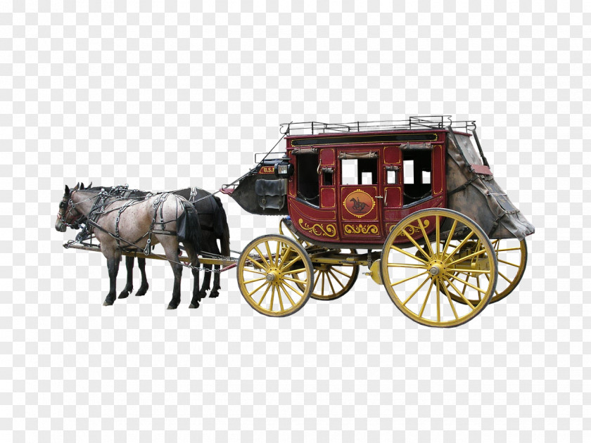 Horse And Buggy Equestrian Carriage Horse-drawn Vehicle PNG