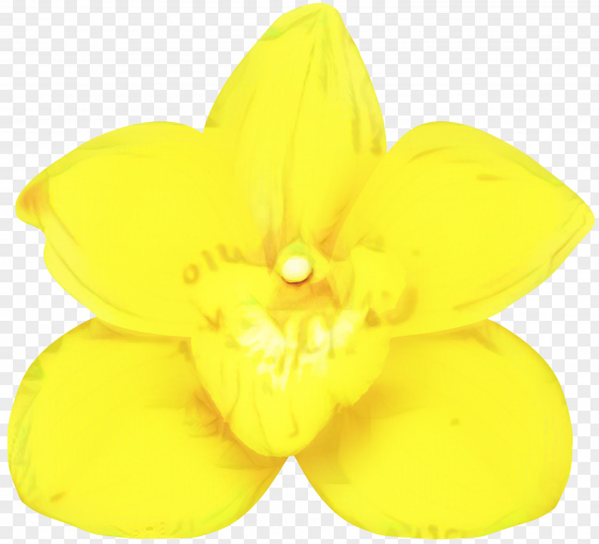 Wheel Plant Yellow Background PNG