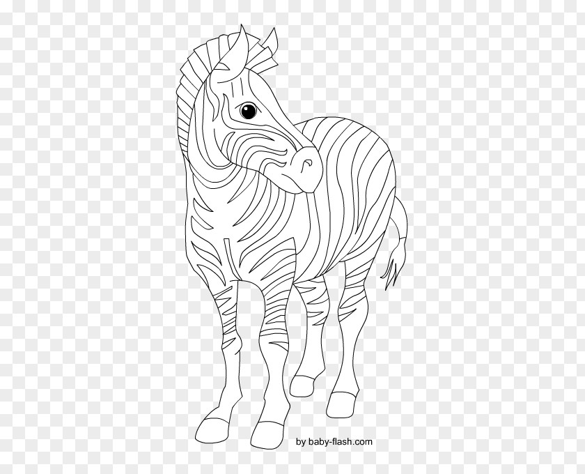 Baby Girl Zebra Animal Drawing Line Art /m/02csf Illustration Graphics PNG