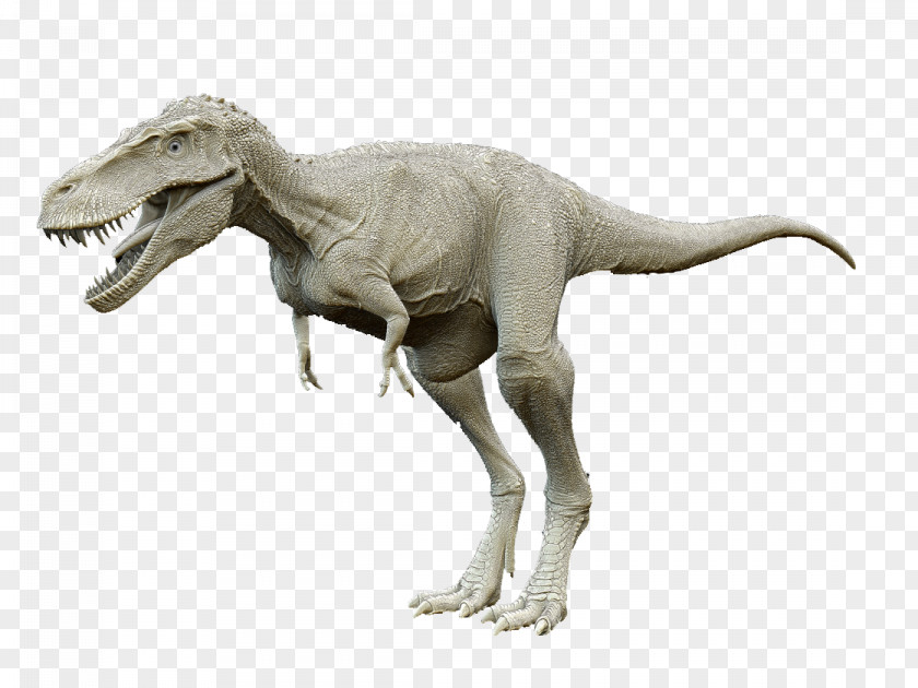Dinosaur Tyrannosaurus Prehistory Euclidean Vector PNG
