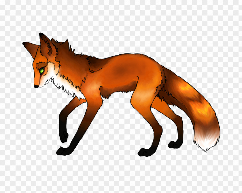 Fox Dog Dhole Canidae Line Art PNG