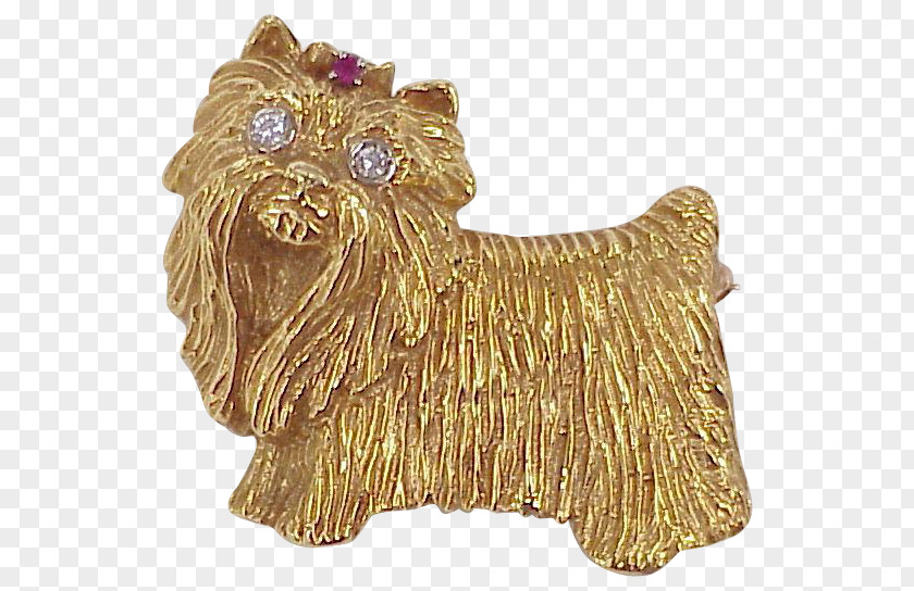 Maltese Dog Cairn Terrier Yorkshire Breed PNG
