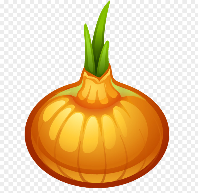 Onion Calabaza Jack-o'-lantern Vegetable Clip Art PNG