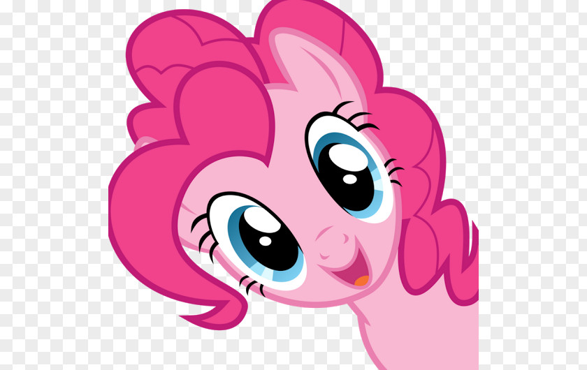 Pinkie Pie Rainbow Dash Twilight Sparkle Rarity Fluttershy PNG