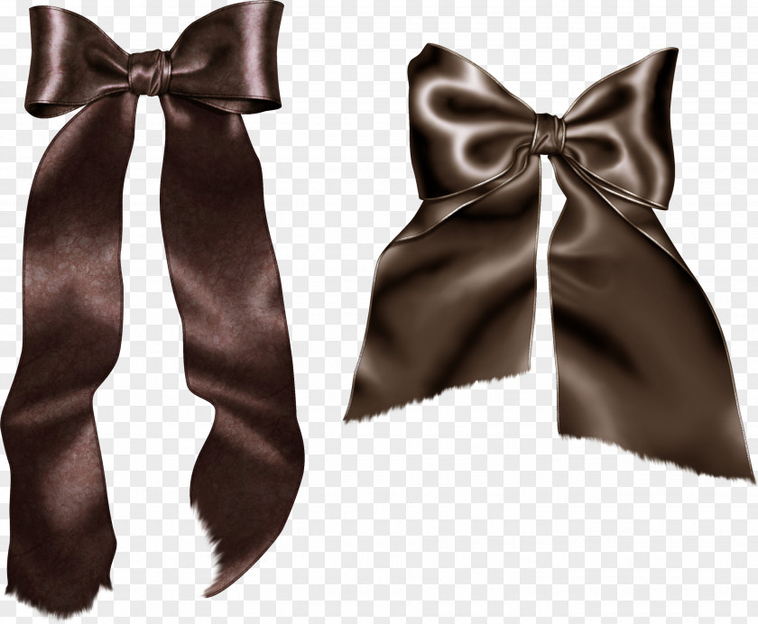 Bowknot Photography Brown Clip Art PNG