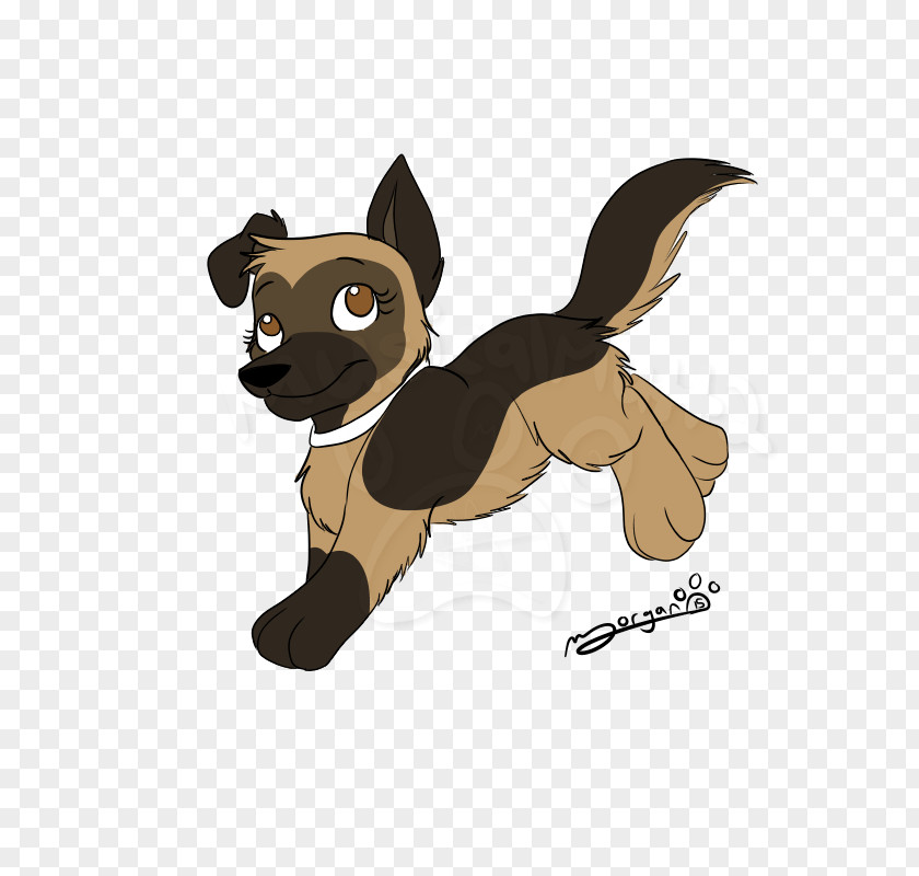 Cat Dog Breed Puppy PNG