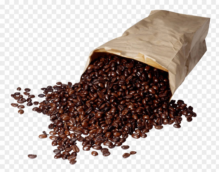 Coffee Beans The Complete Idiot's Guide To Java 1.2 Roasting Cafe Espresso PNG