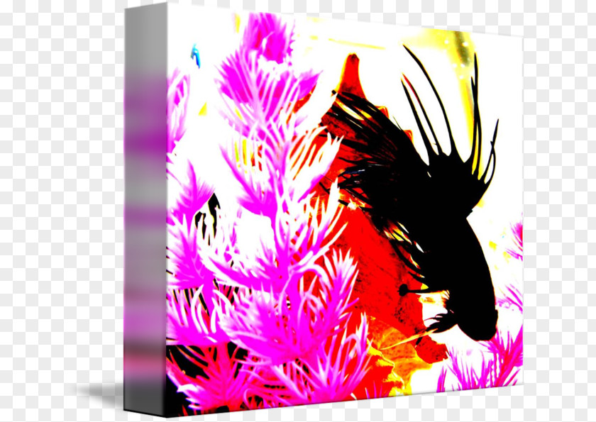 Design Graphic Desktop Wallpaper Pink M PNG