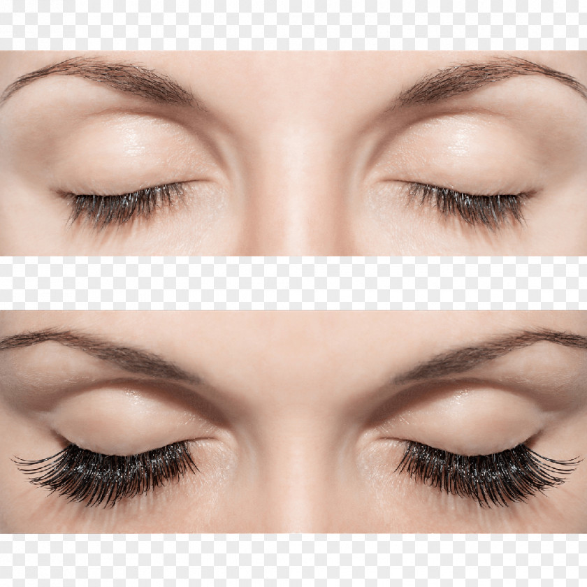 Eyelash Extensions Artificial Hair Integrations Spa Mascara PNG
