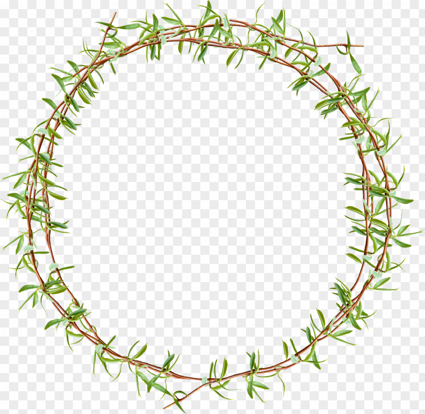 Floating Grass Rattan Creative Circle Plant Wreath Designer PNG