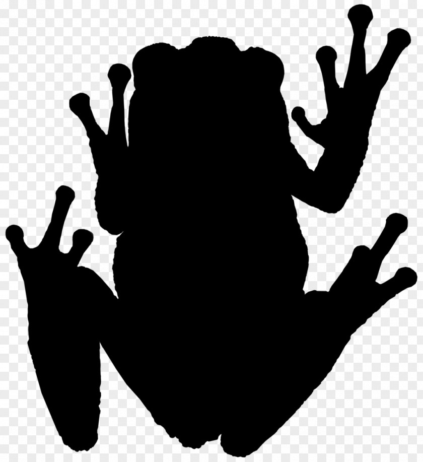 Frog Tree Amphibians Photography Silhouette PNG