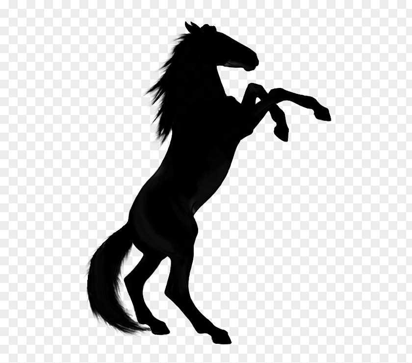 Arabian Horse Rearing Stallion Vector Graphics Clip Art PNG