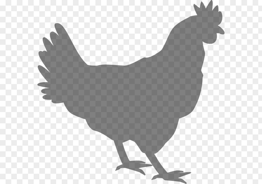 Chicken Rooster Poultry Clip Art PNG
