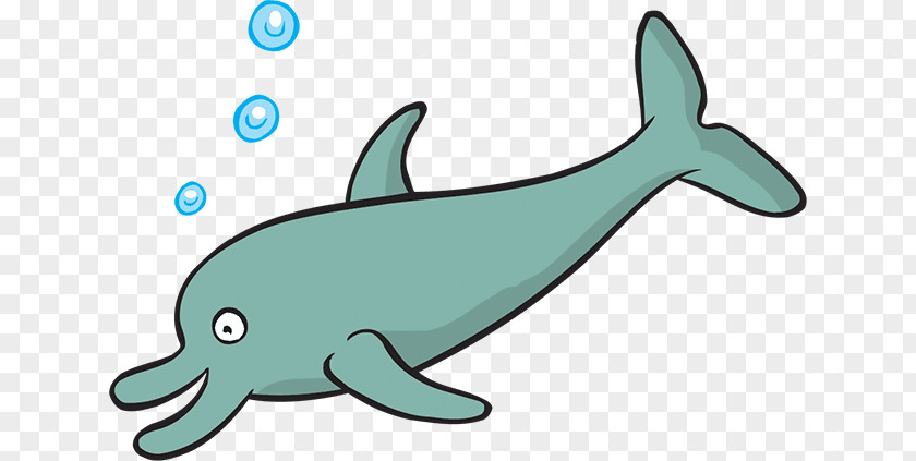 Fish Swimming Common Bottlenose Dolphin Tucuxi Rough-toothed Clip Art PNG