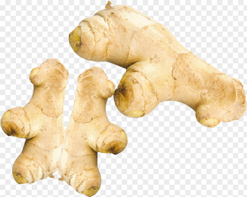 Ginger Root Vegetables Ingredient PNG