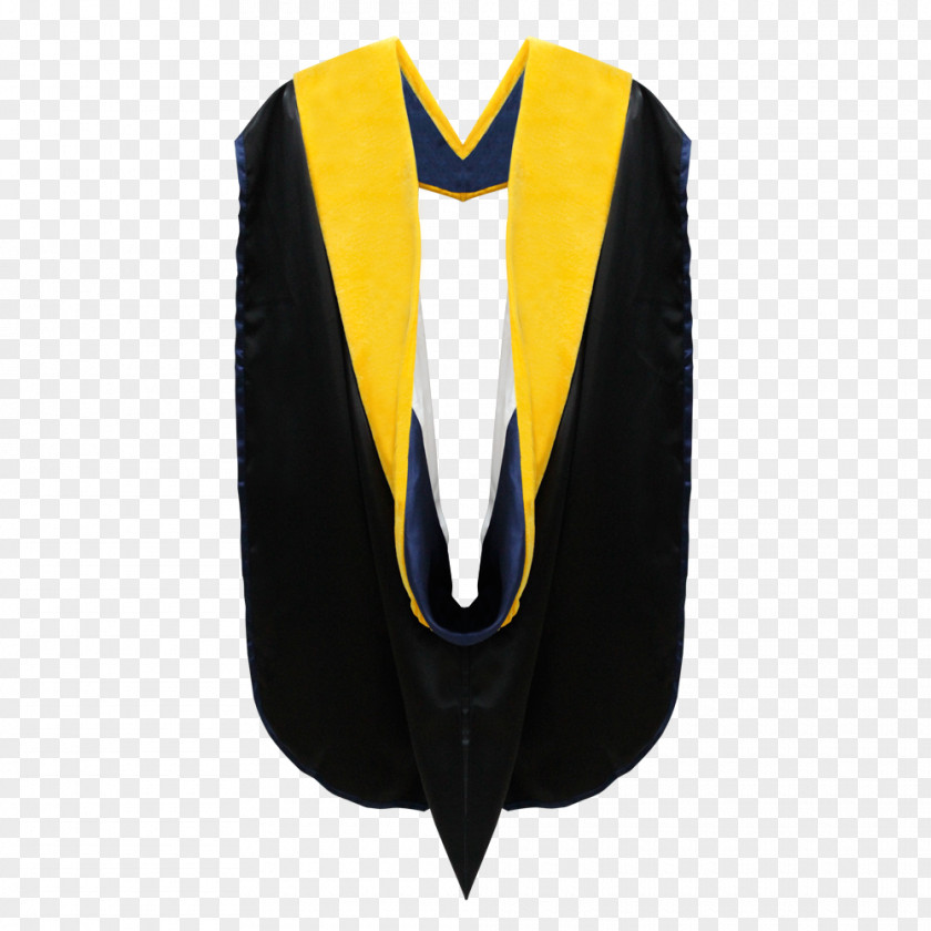 Graduation Gown Academic Dress Ceremony Doctorate Degree Robe PNG
