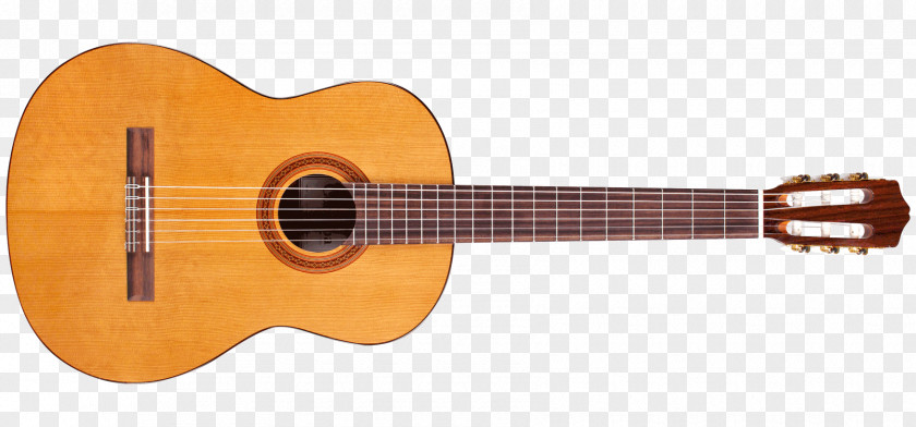 Guitar Cordoba C3M Acoustic Classical C7 String PNG