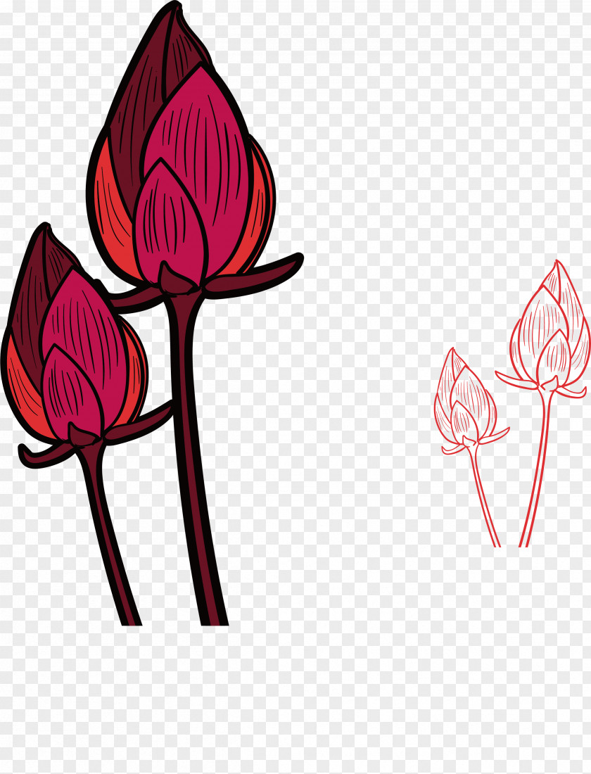 Painted Red Lotus Bud Floral Design PNG