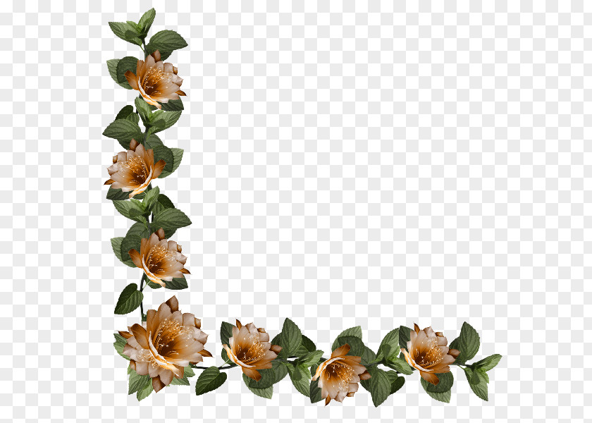 Separadores Cut Flowers Floral Design Clip Art PNG
